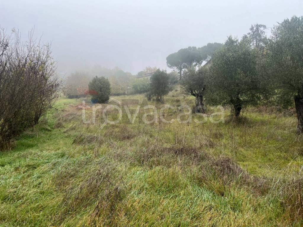 immagine annuncio 2 di 7