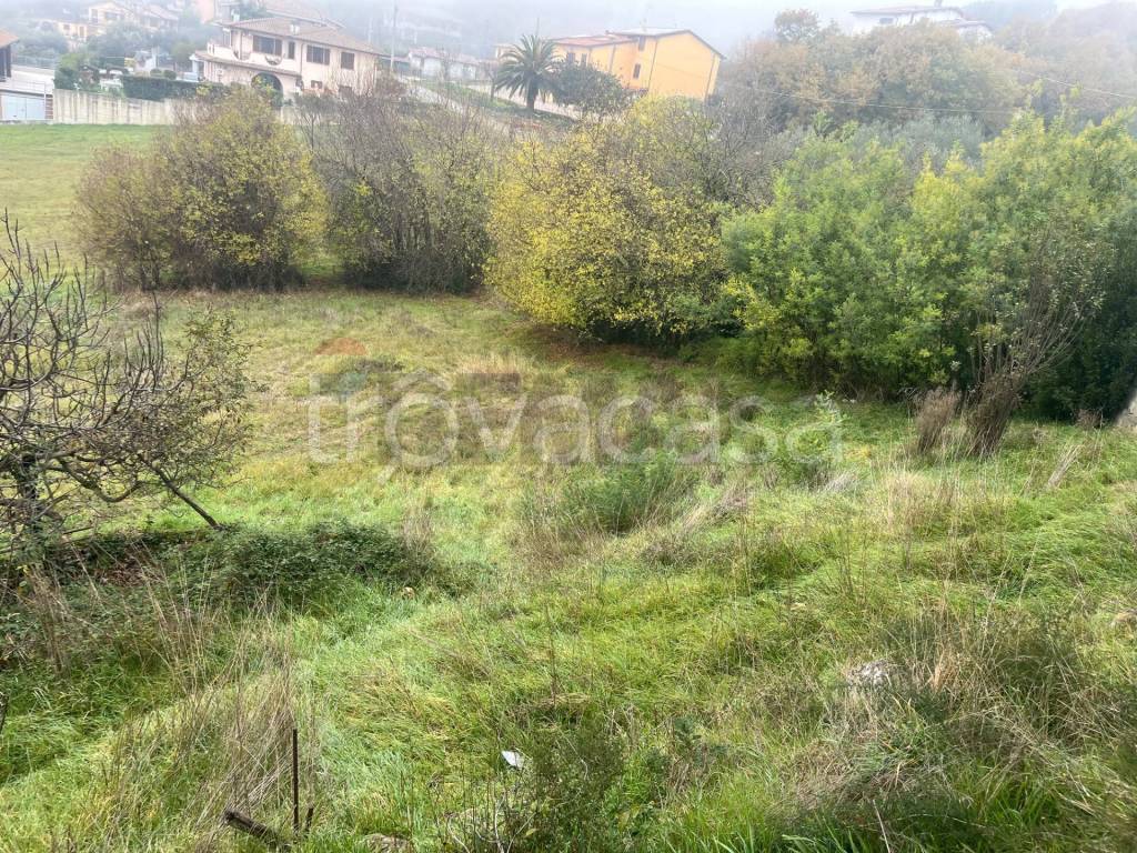 immagine annuncio 5 di 7