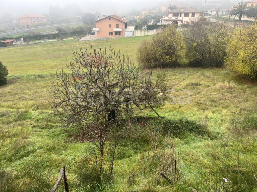 immagine annuncio 6 di 7