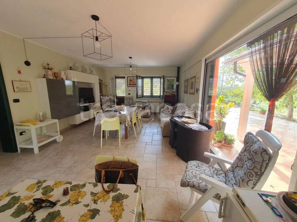 immagine annuncio 8 di 15