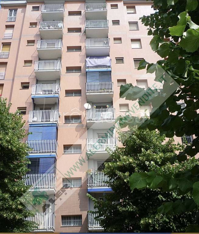 immagine annuncio 1 di 12