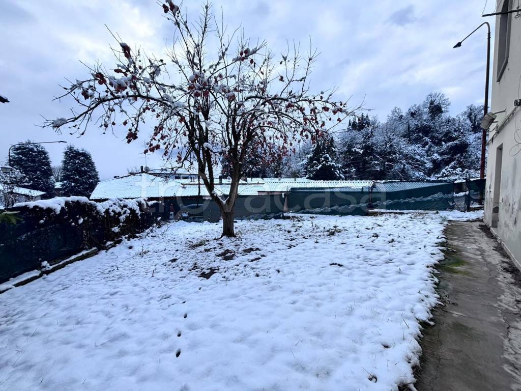 immagine annuncio 1 di 14