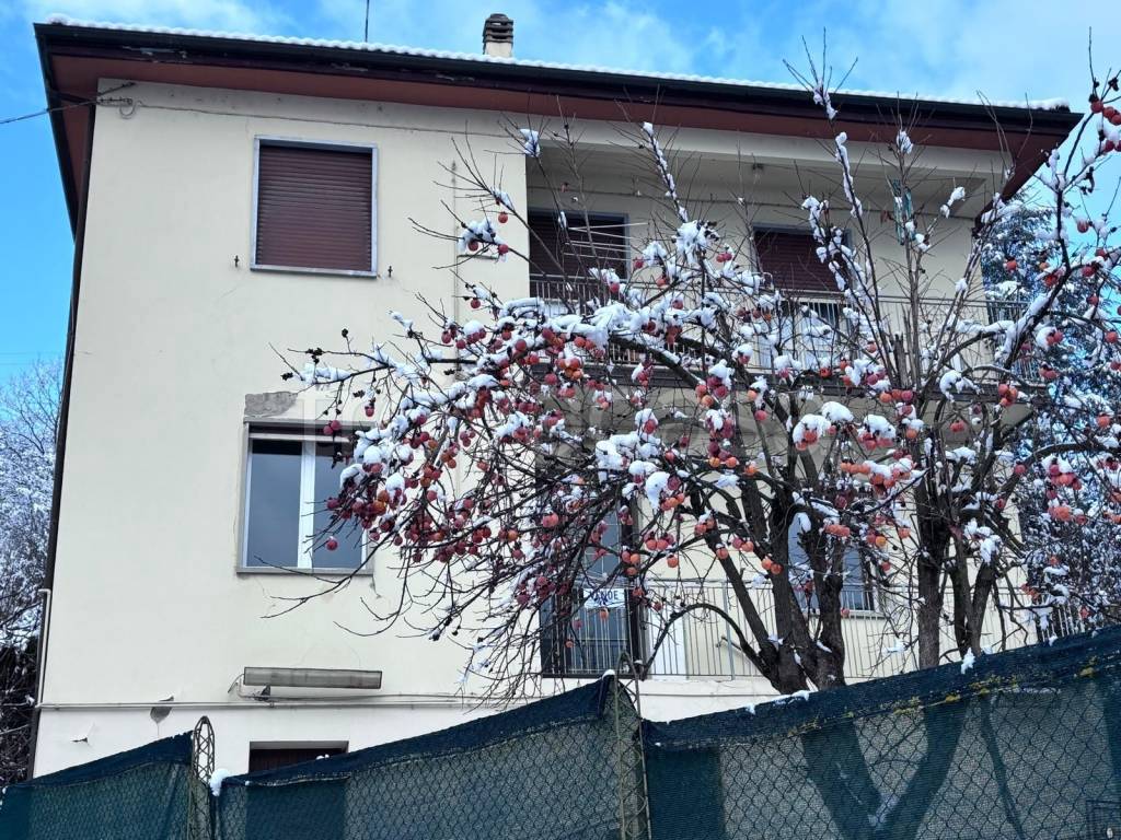 immagine annuncio 12 di 14