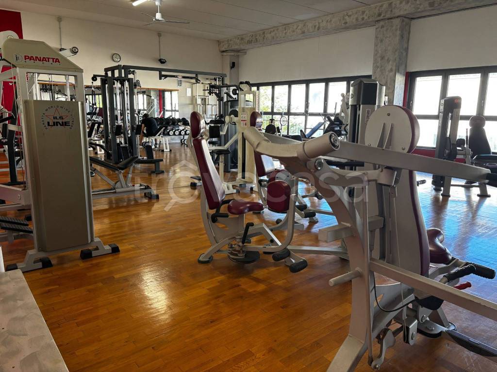 immagine annuncio 9 di 15