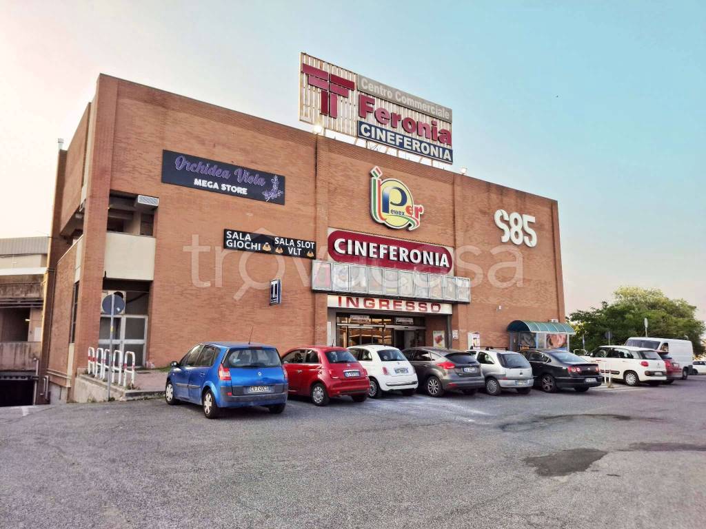 immagine annuncio 3 di 14