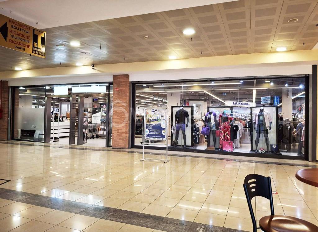 immagine annuncio 9 di 14