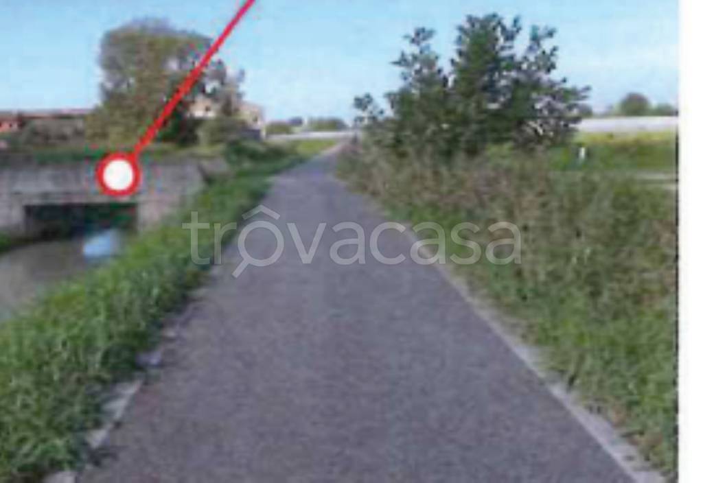 immagine annuncio 2 di 12