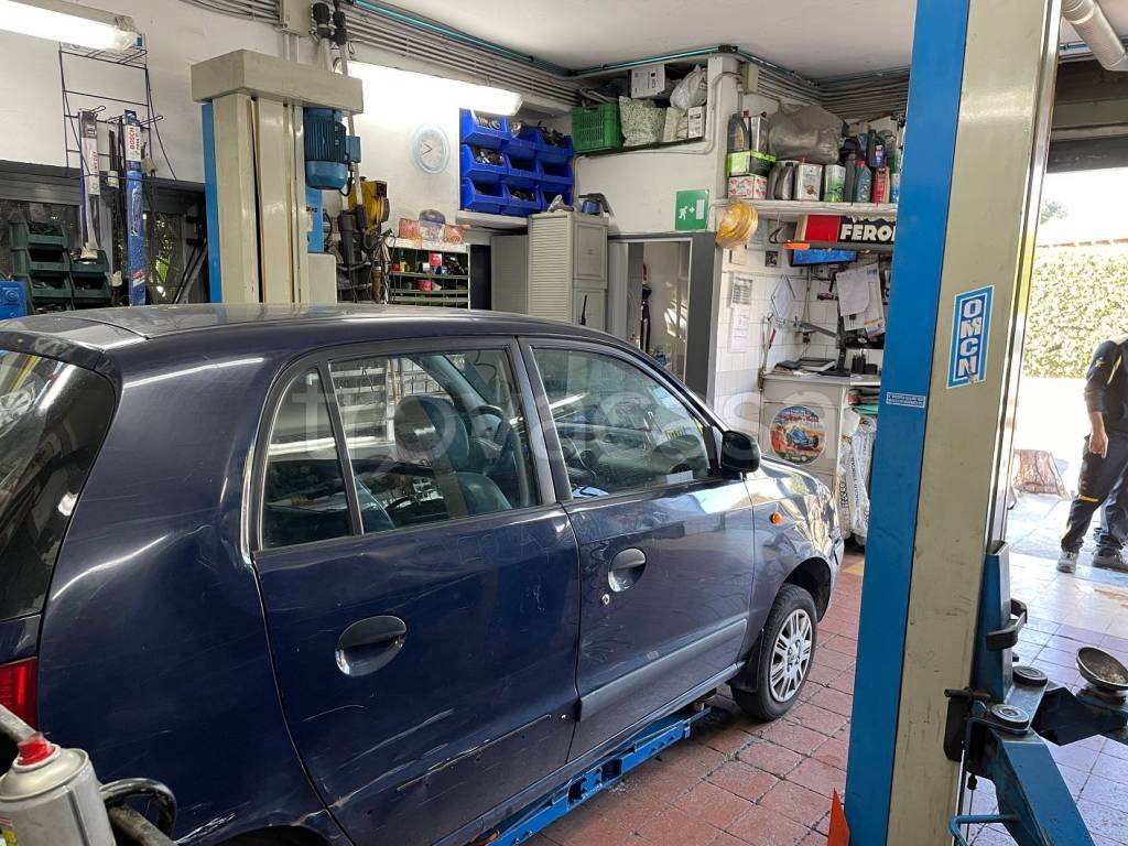 immagine annuncio 5 di 11