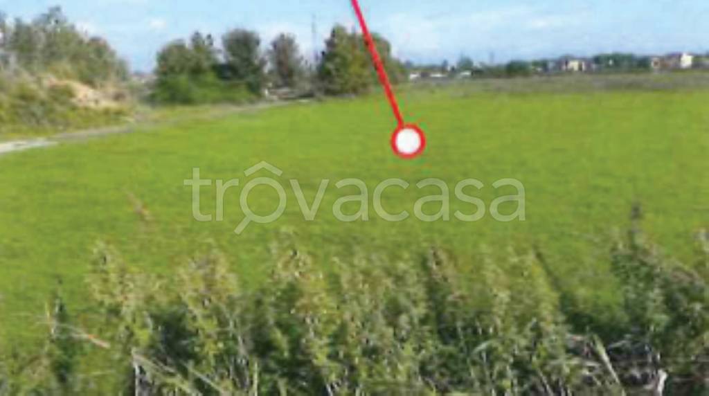 immagine annuncio 4 di 12