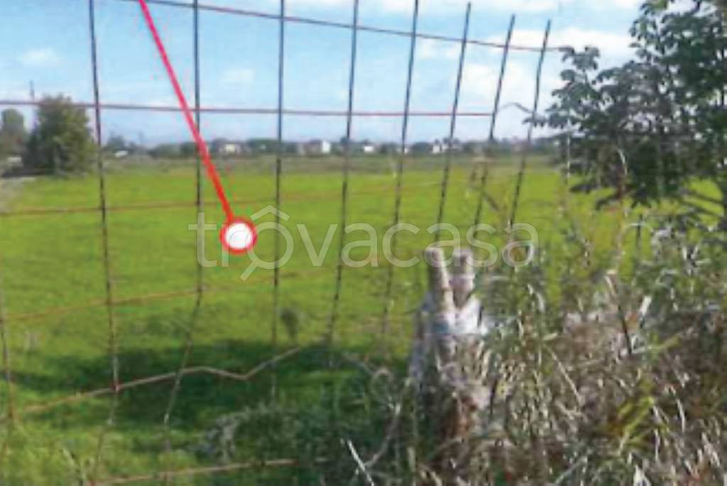 immagine annuncio 5 di 12