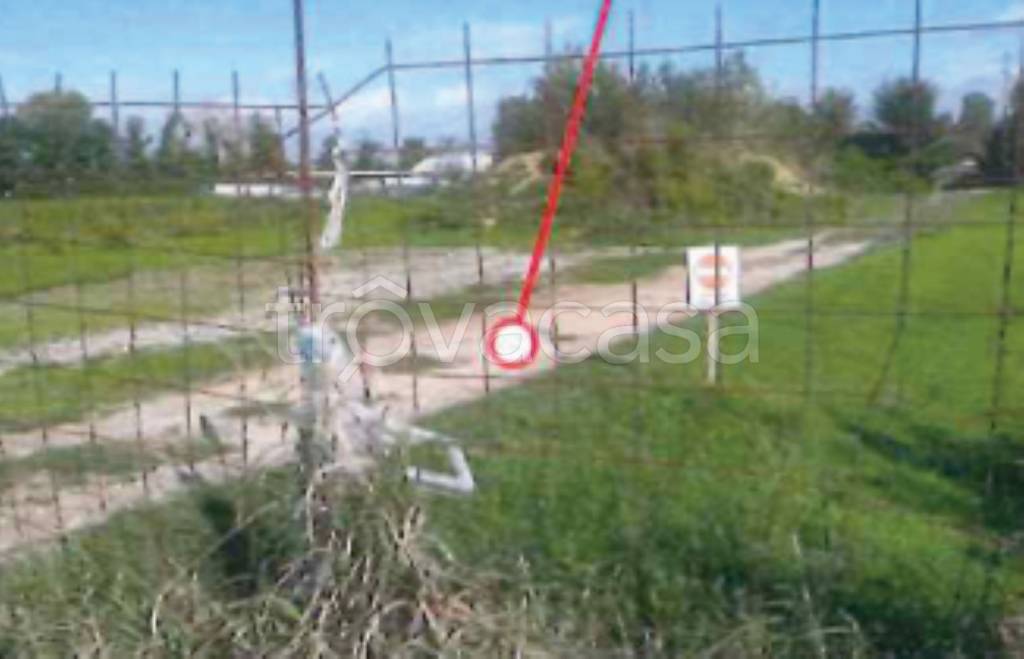 immagine annuncio 6 di 12