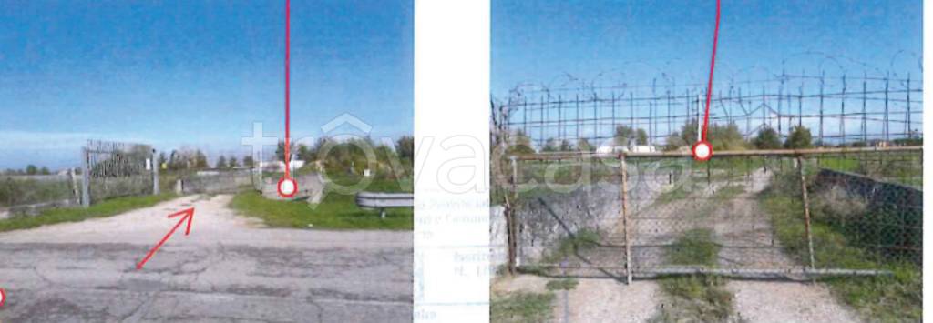 immagine annuncio 10 di 12