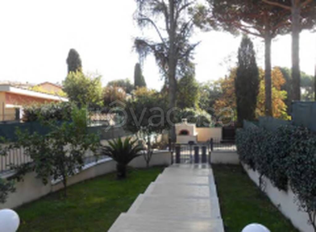 immagine annuncio 6 di 11