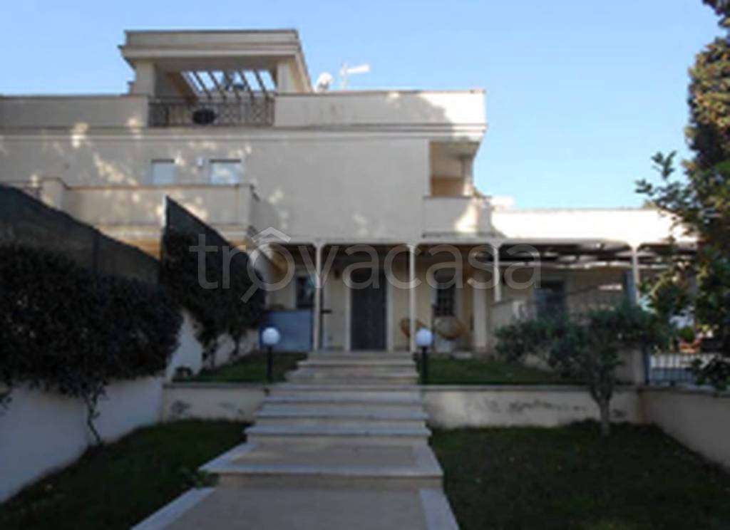 immagine annuncio 9 di 11