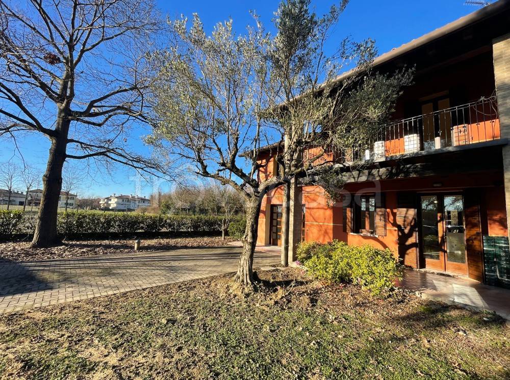 immagine annuncio 1 di 15