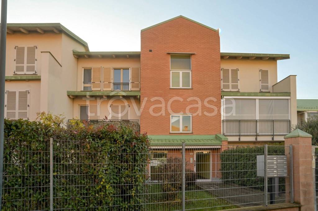 immagine annuncio 5 di 15