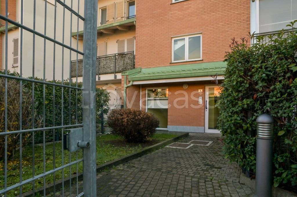 immagine annuncio 9 di 15