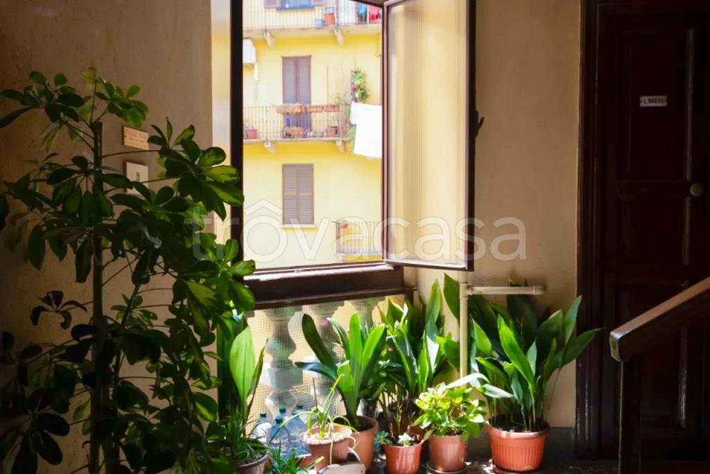 immagine annuncio 12 di 13