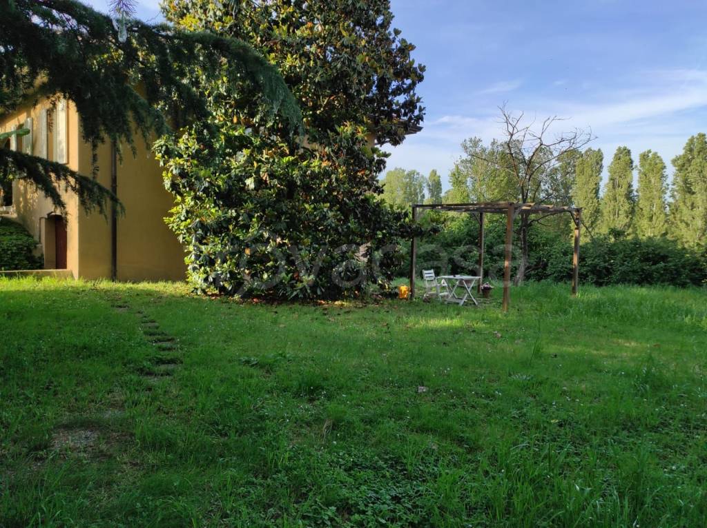 immagine annuncio 11 di 14