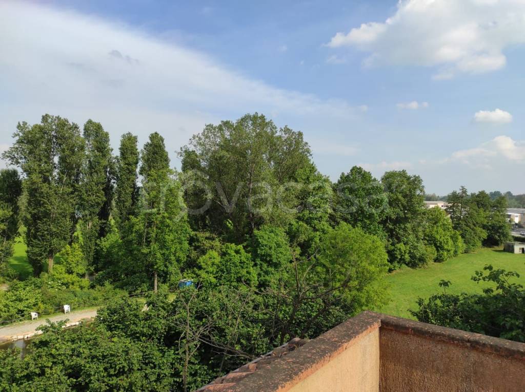 immagine annuncio 7 di 14