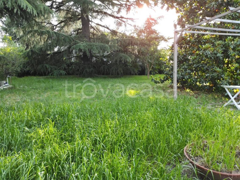 immagine annuncio 9 di 14