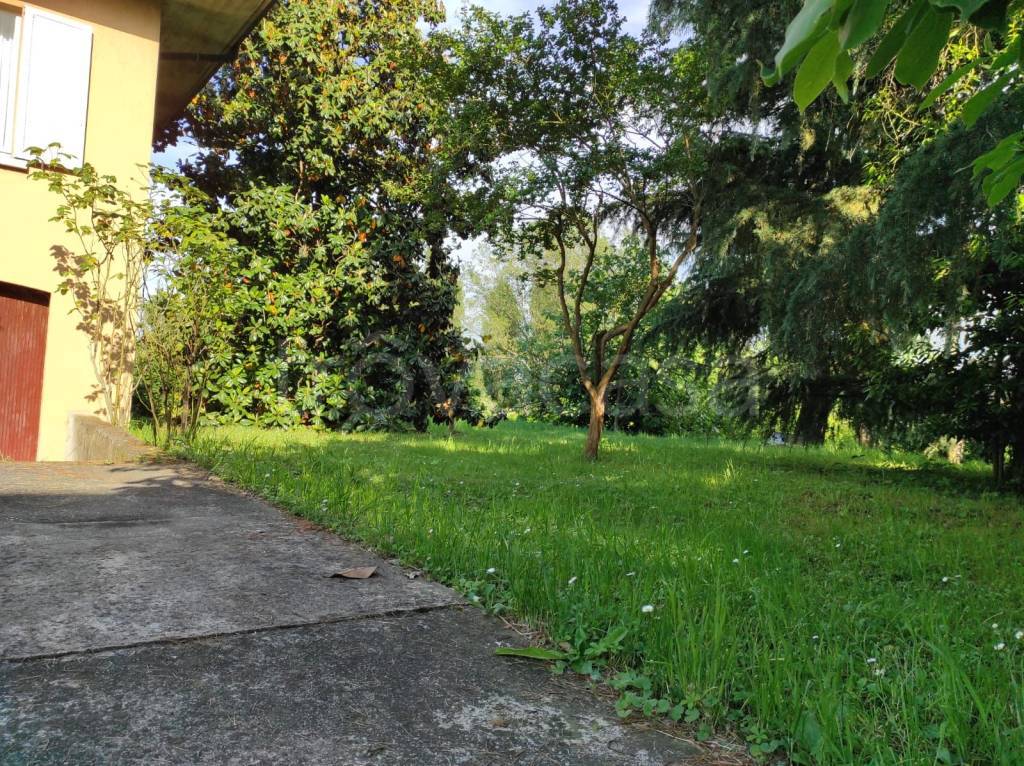 immagine annuncio 12 di 14