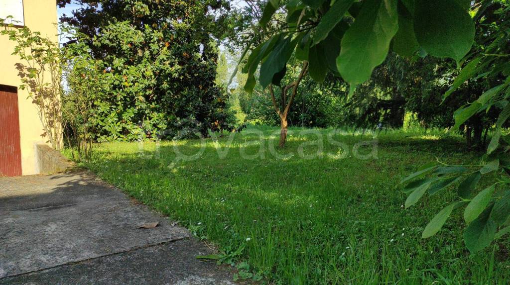 immagine annuncio 8 di 14