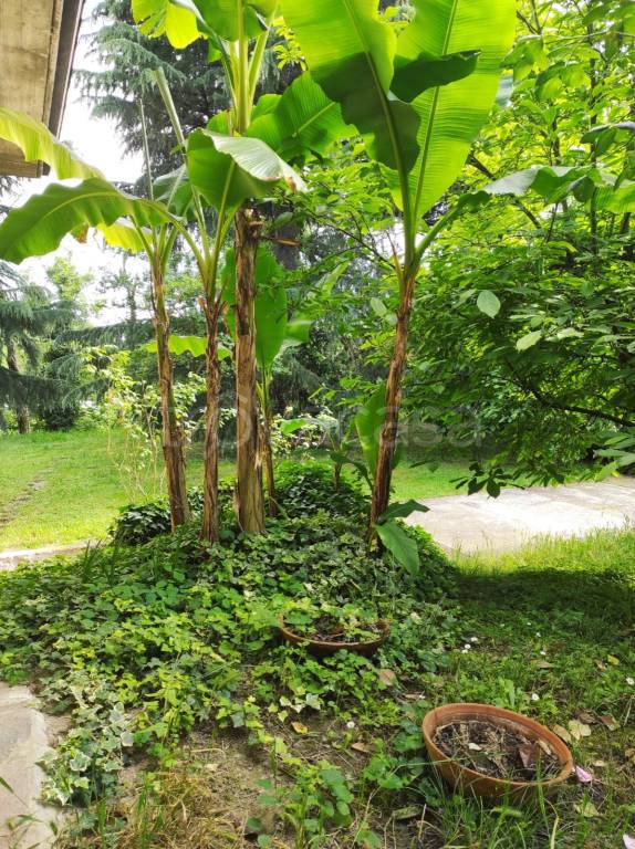 immagine annuncio 10 di 14