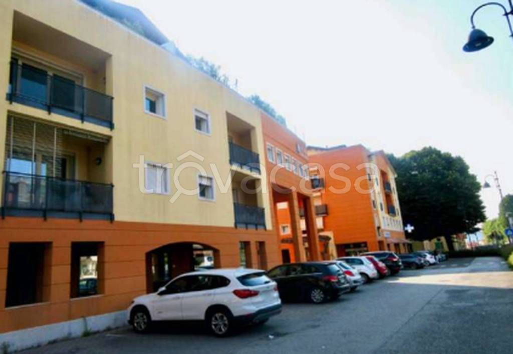 immagine annuncio 6 di 11