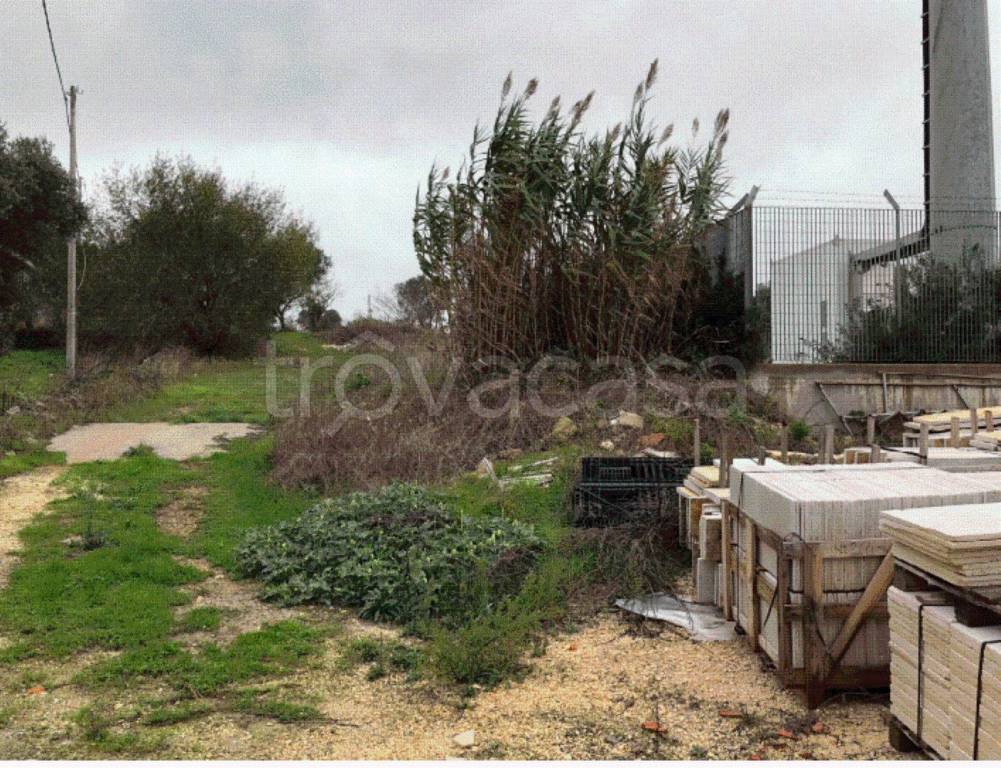 immagine annuncio 8 di 12