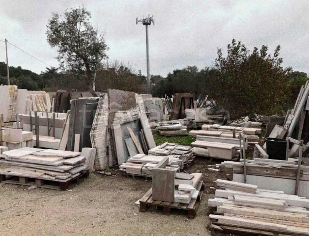 immagine annuncio 9 di 12