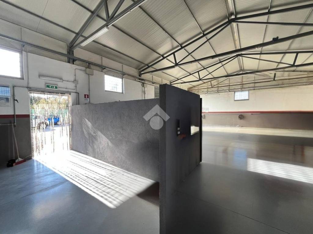 immagine annuncio 2 di 13