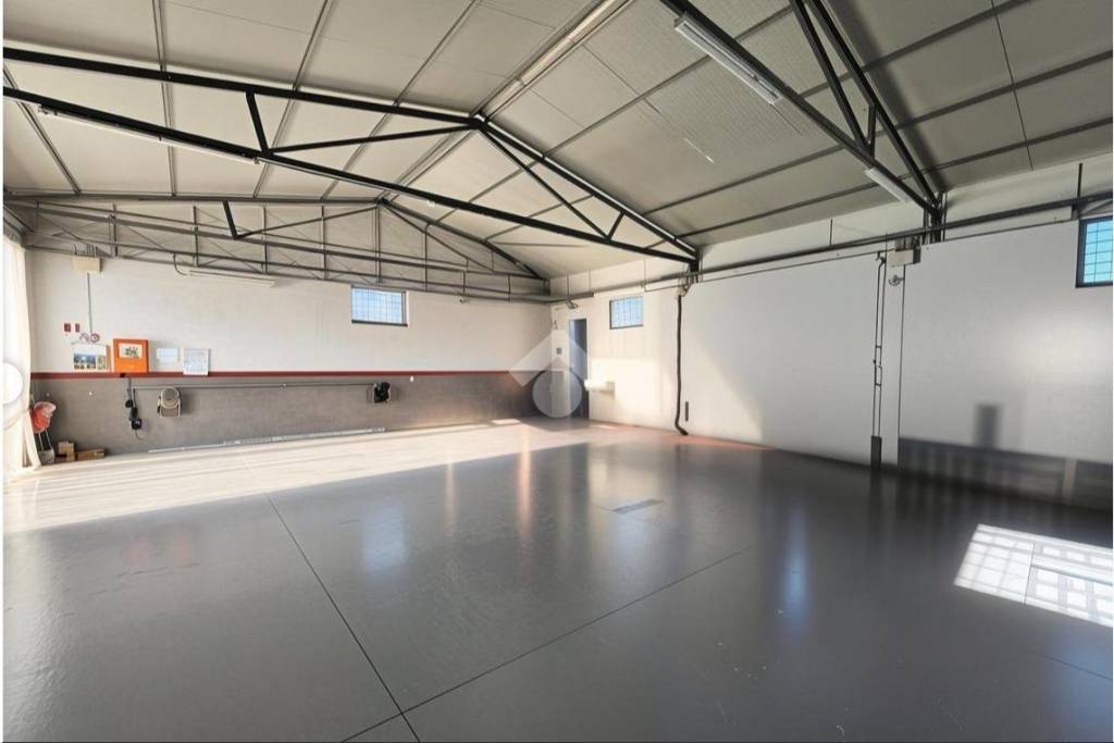 immagine annuncio 4 di 13