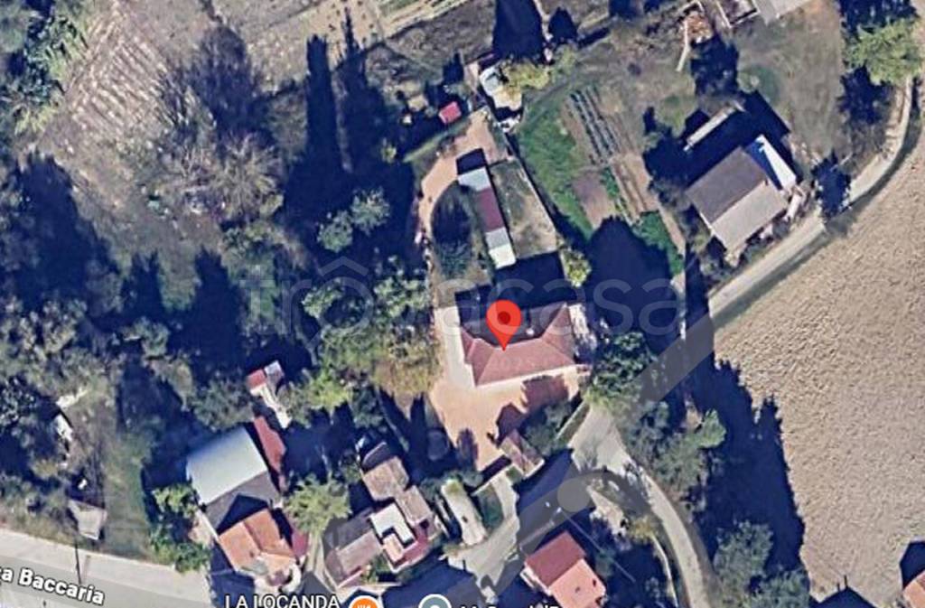 immagine annuncio 5 di 11