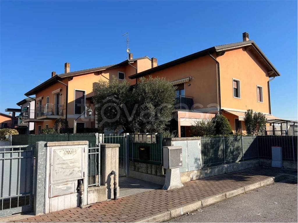 immagine annuncio 12 di 15