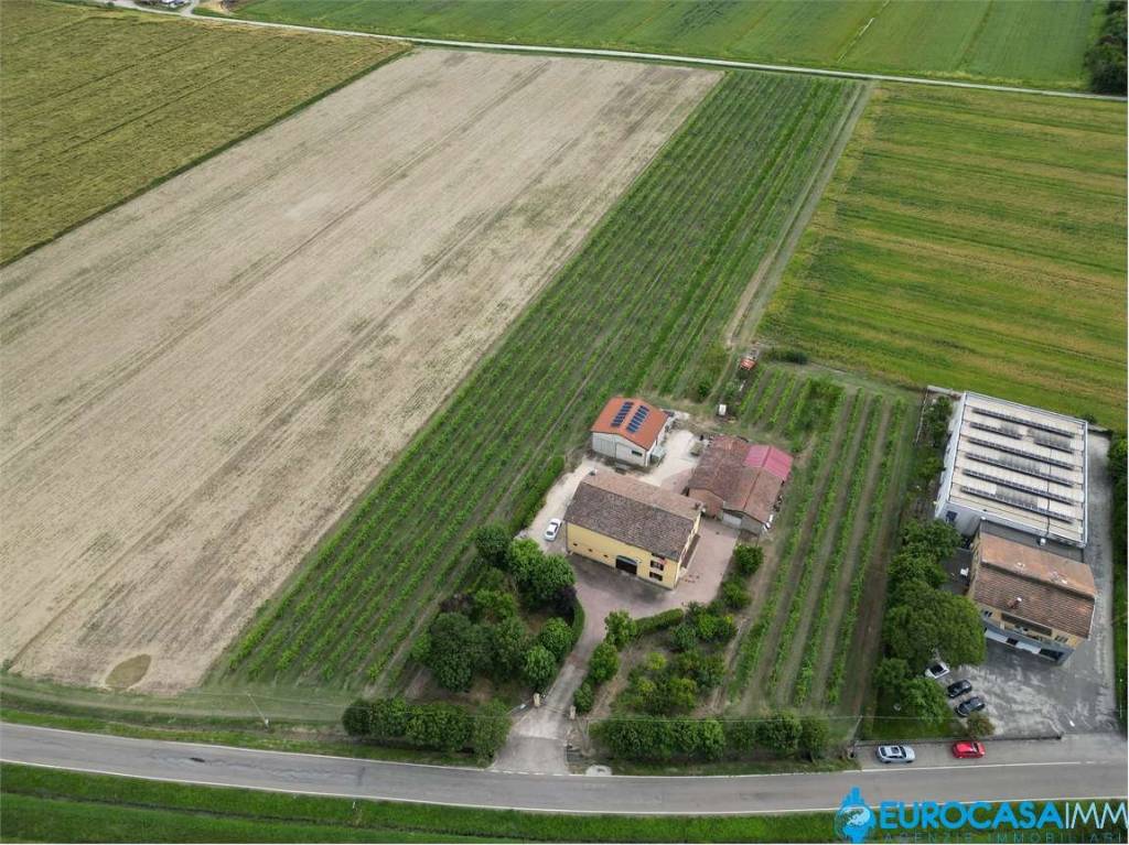 immagine annuncio 2 di 4