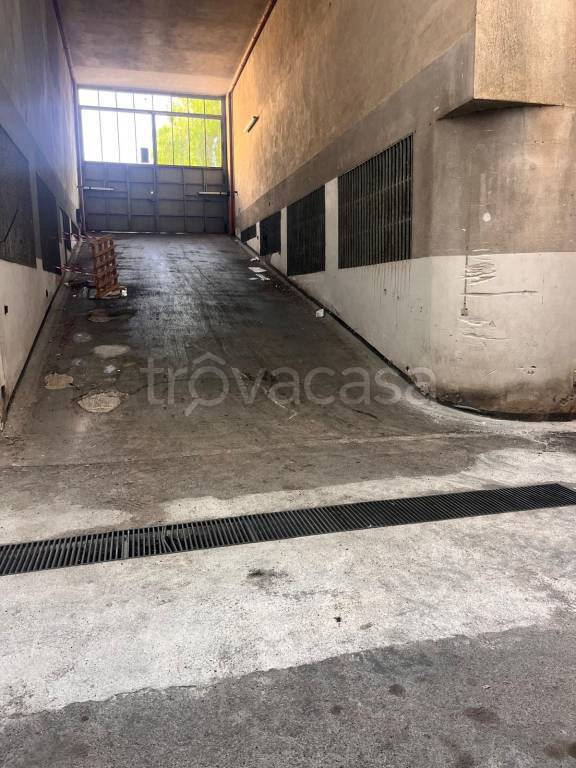 immagine annuncio 6 di 8