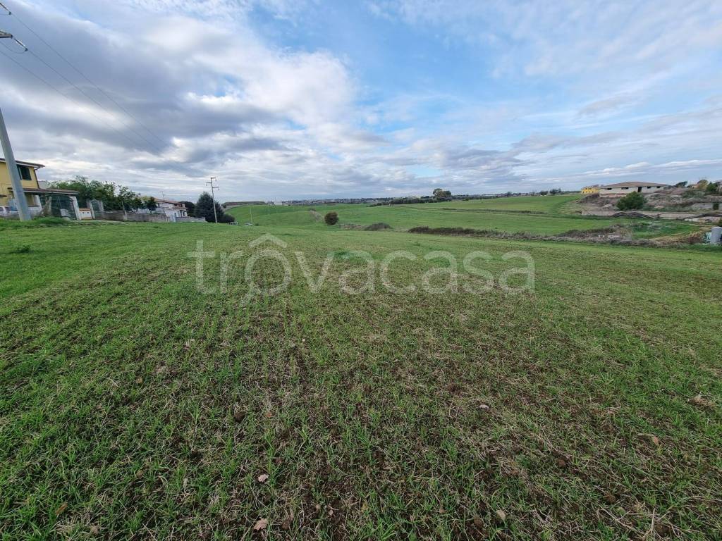 immagine annuncio 8 di 10