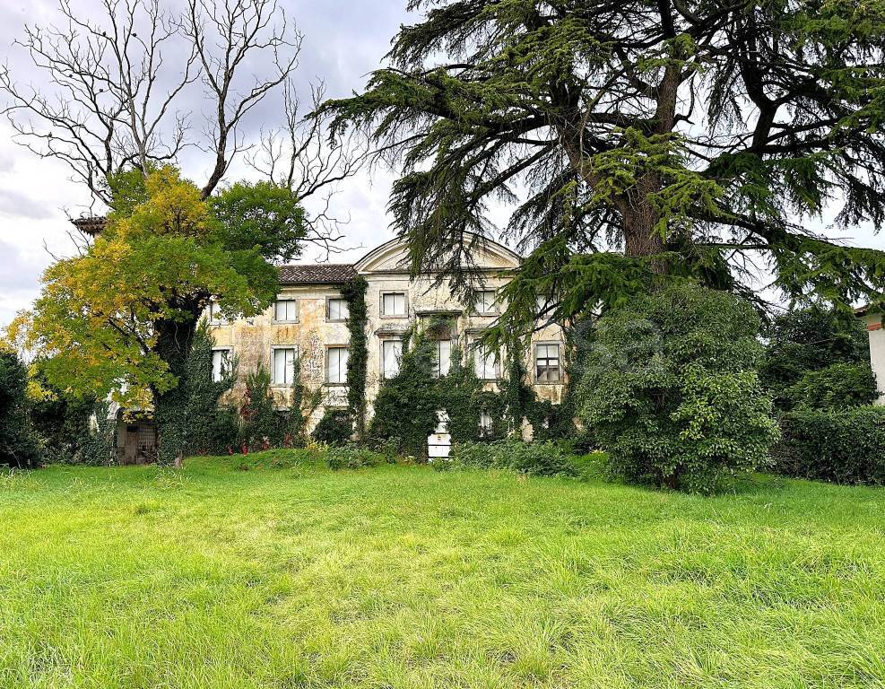 immagine annuncio 5 di 12