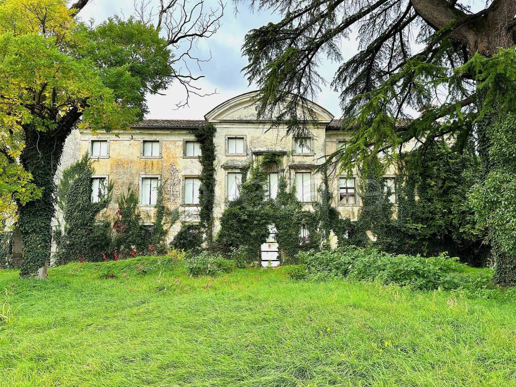 immagine annuncio 4 di 12