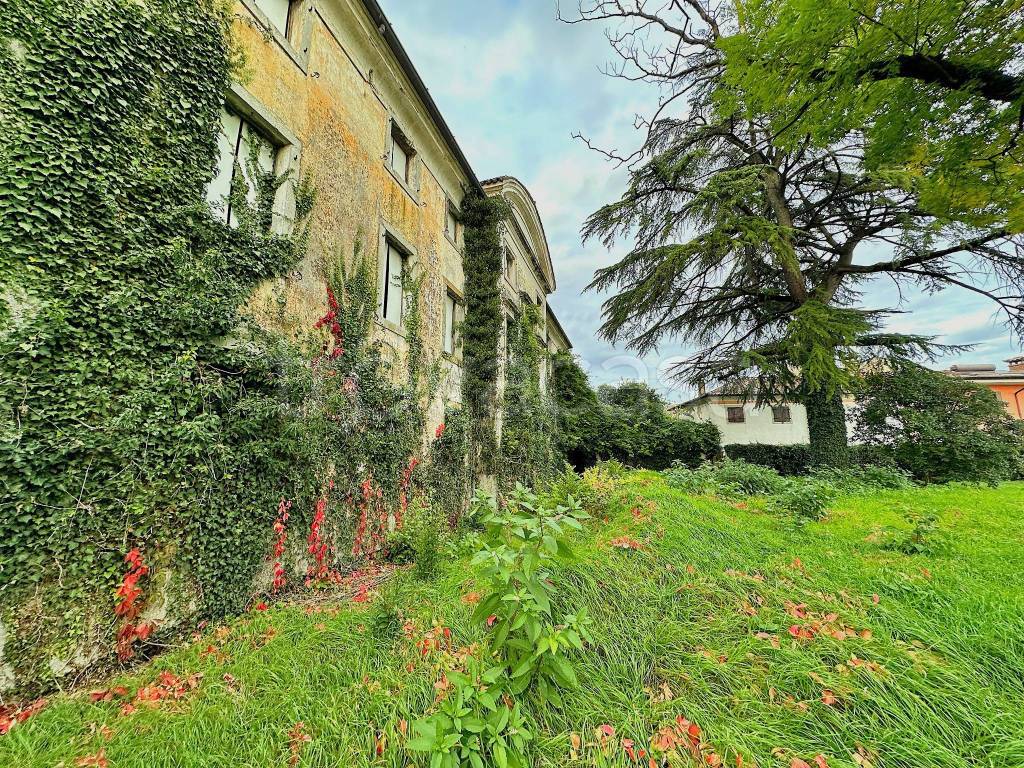 immagine annuncio 6 di 12