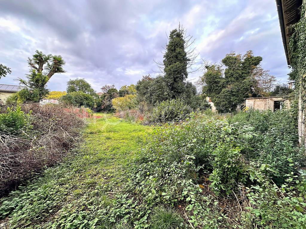 immagine annuncio 3 di 12