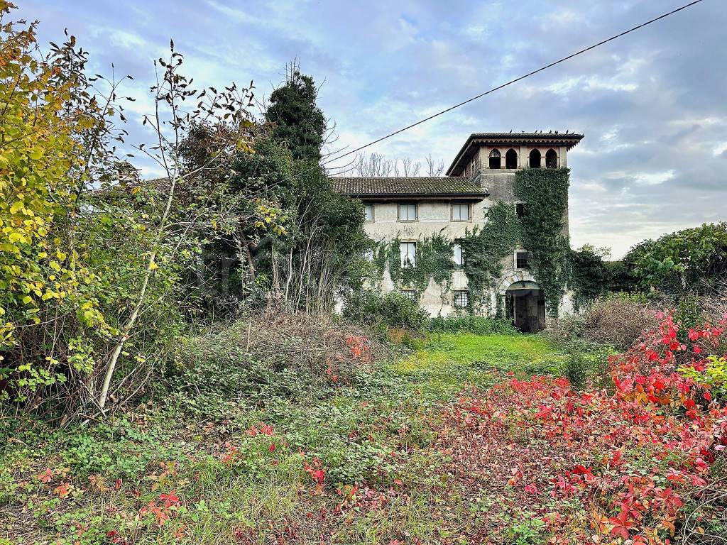 immagine annuncio 1 di 12