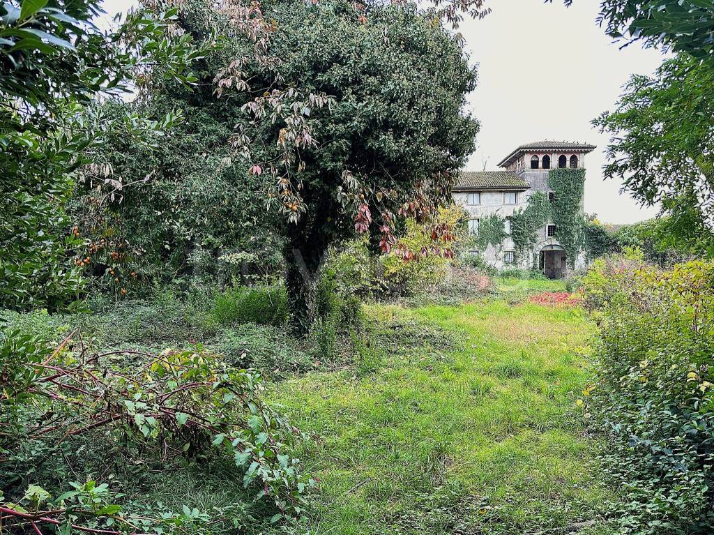 immagine annuncio 2 di 12