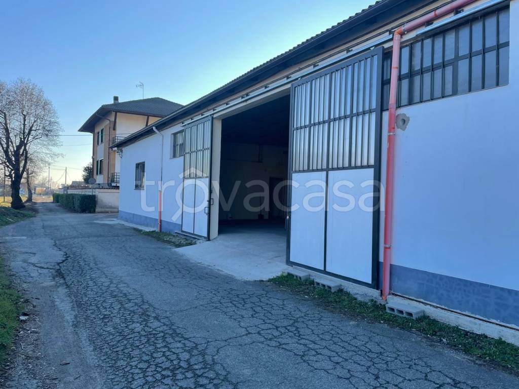 immagine annuncio 1 di 10