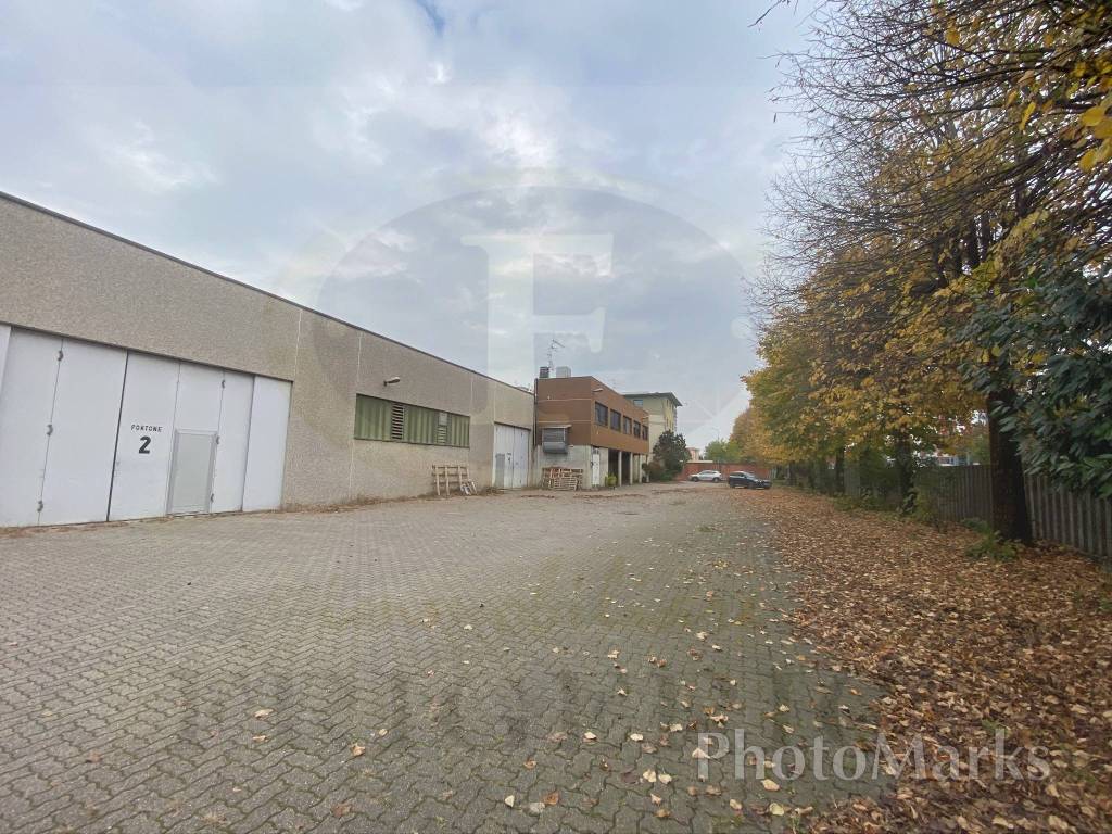 immagine annuncio 5 di 15