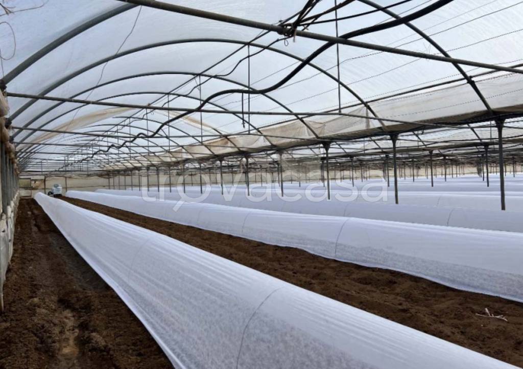 immagine annuncio 4 di 11