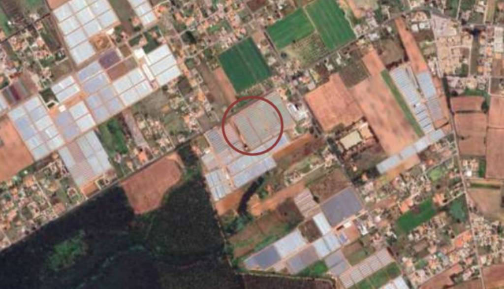 immagine annuncio 3 di 11