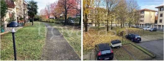 immagine annuncio 5 di 14