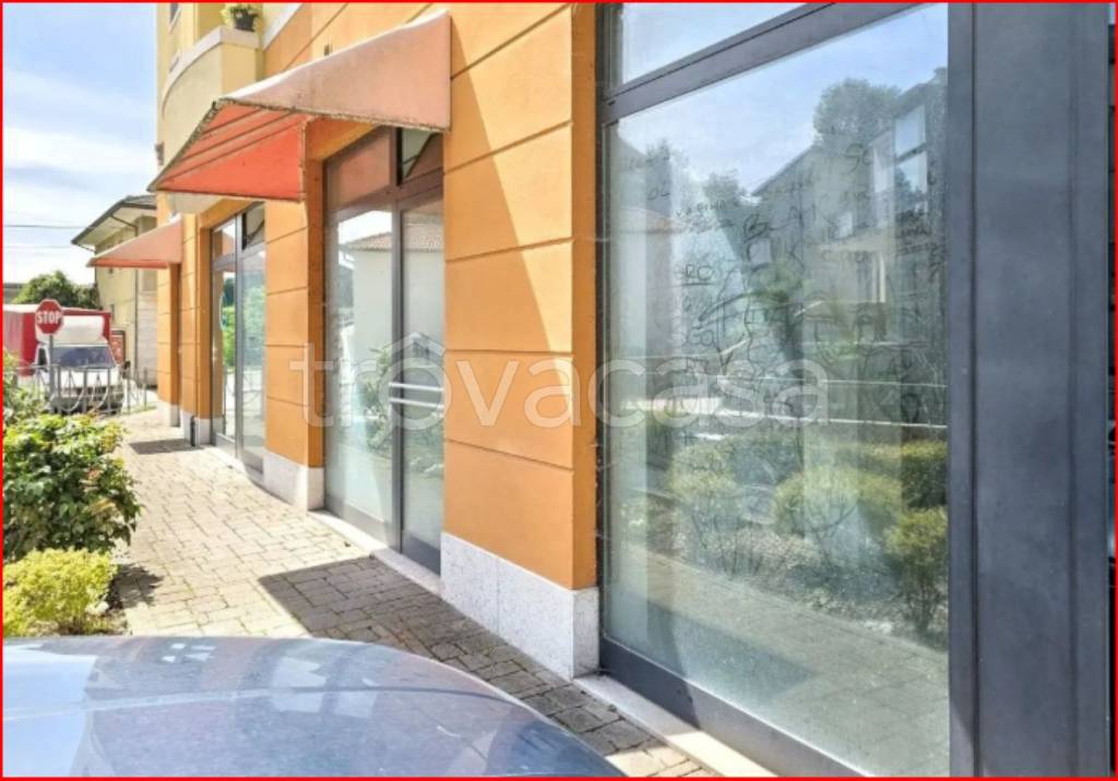 immagine annuncio 4 di 11